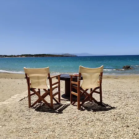 شقة Rodon Manor *