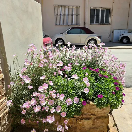 Διαμέρισμα Rodon Manor *